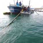 MOORING SYSTEM